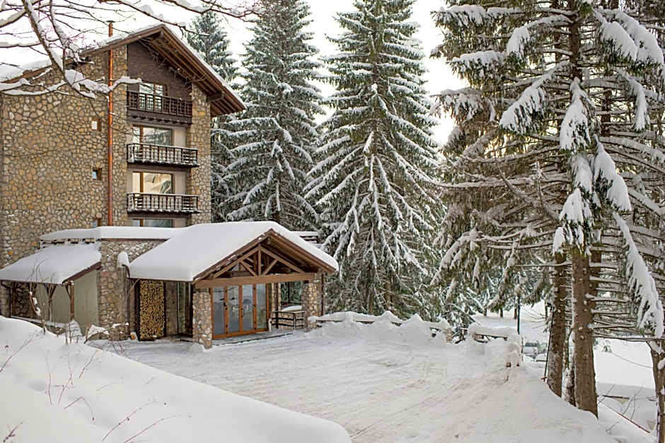 Ana Hotels Bradul Poiana Brasov