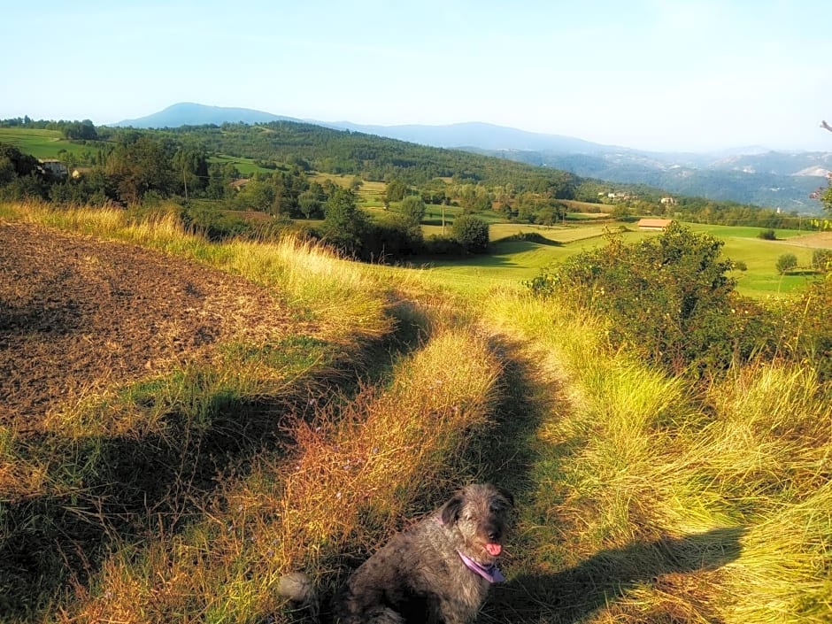 Bed and Breakfast Balli coi Lupi