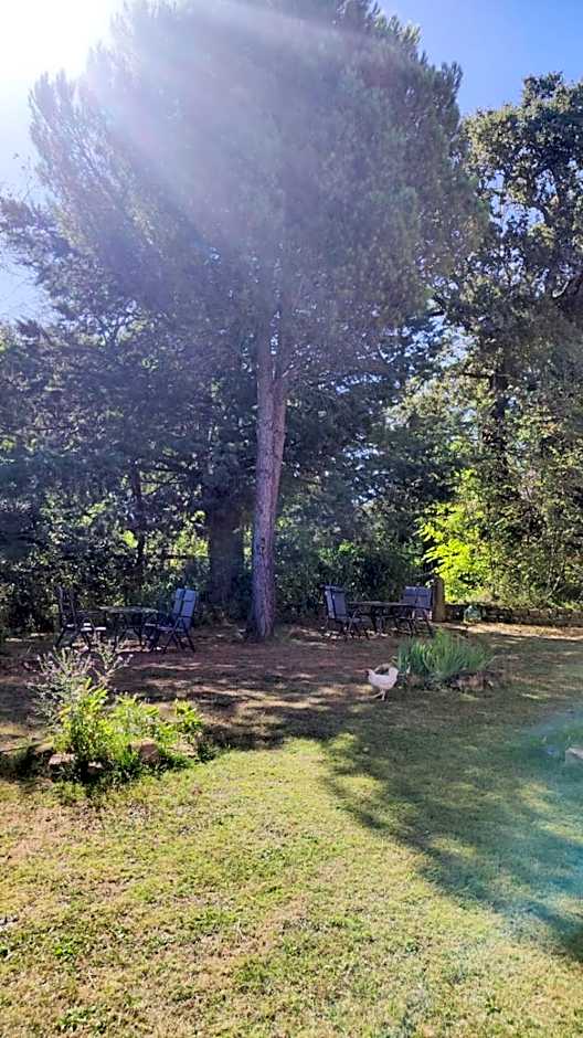 Camping Le Marche Apartments