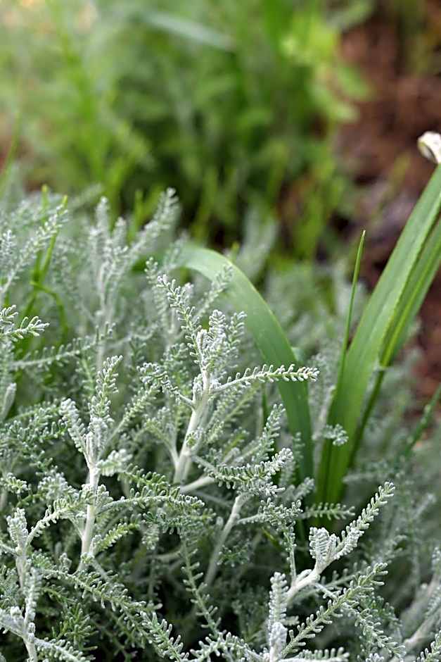 Hotel Il Cervo, SPA & Wellness, Bike Hotel