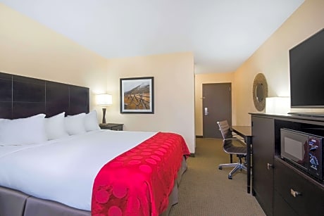 1 King Bed Non-Smoking