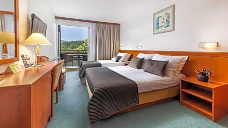 Superior Double Room with Extra bed, Lake side