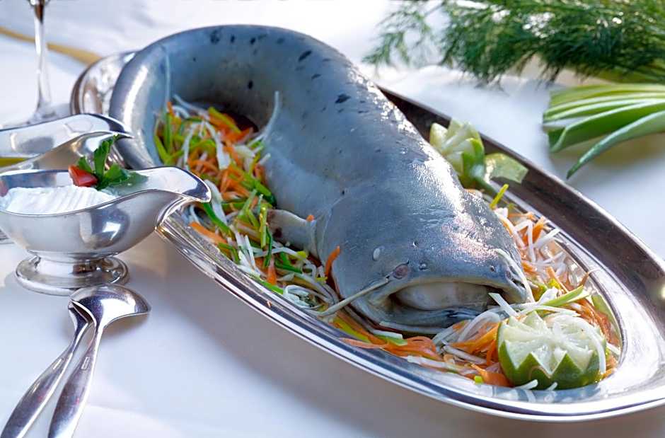 Hotel & Restaurant Walfisch