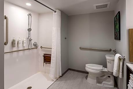 1 King Mobility Accessible W/ Roll In Shower