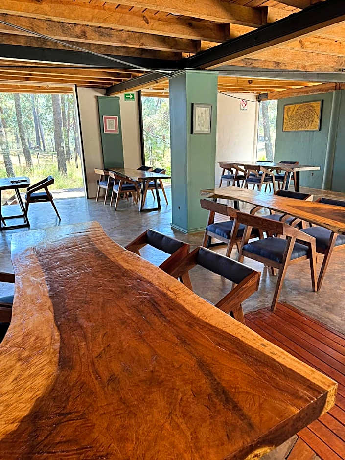 PINE TREE Mazamitla Hotel Boutique & Cabañas