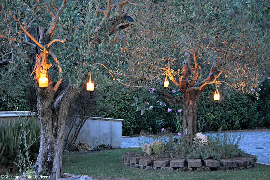 Bed & Breakfast Case Osti