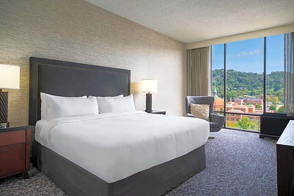 Photo 1 of 50 of Renaissance Asheville Downtown Hotel