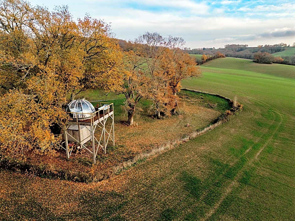 les bulles perchées de lartigue