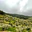 EPHESUS RETREAT