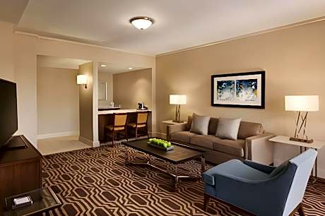 1 King 1 Bedroom Presidential Suite