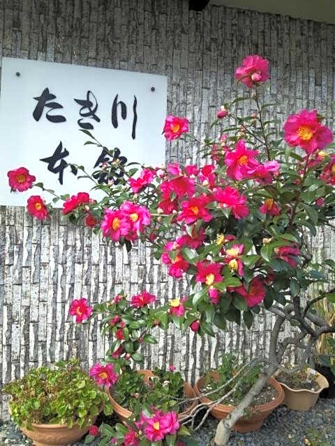 Takigawa Ryokan