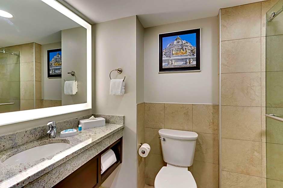 Drury Plaza Hotel St. Paul Downtown