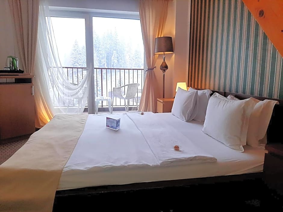 Atrium Hotel Mountain View Predeal