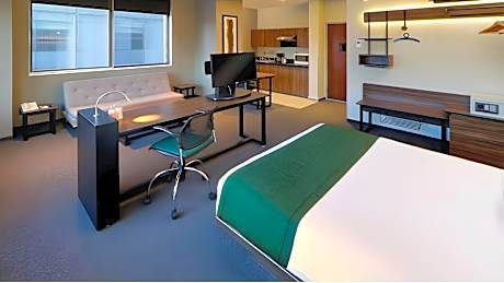 Suite, 1 Queen Bed with Sofa bed (1 Queen Bed and 1 Double Sofa Bed)