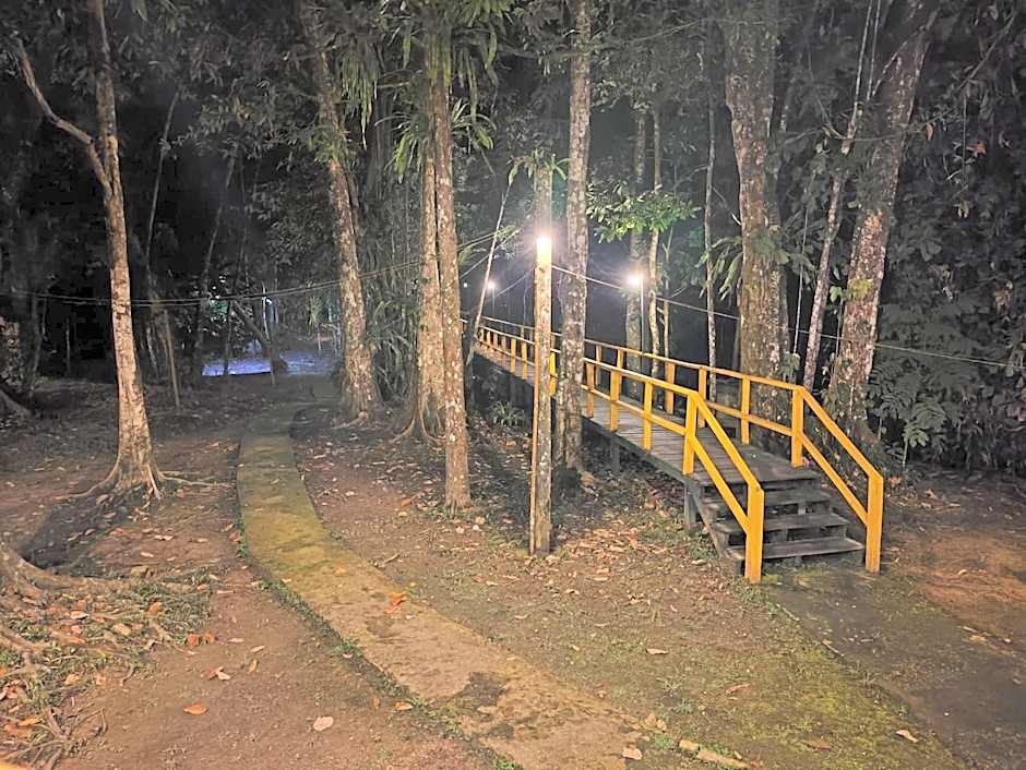 Borneo Jungle Adventure