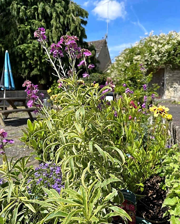 The Bell at Old Sodbury