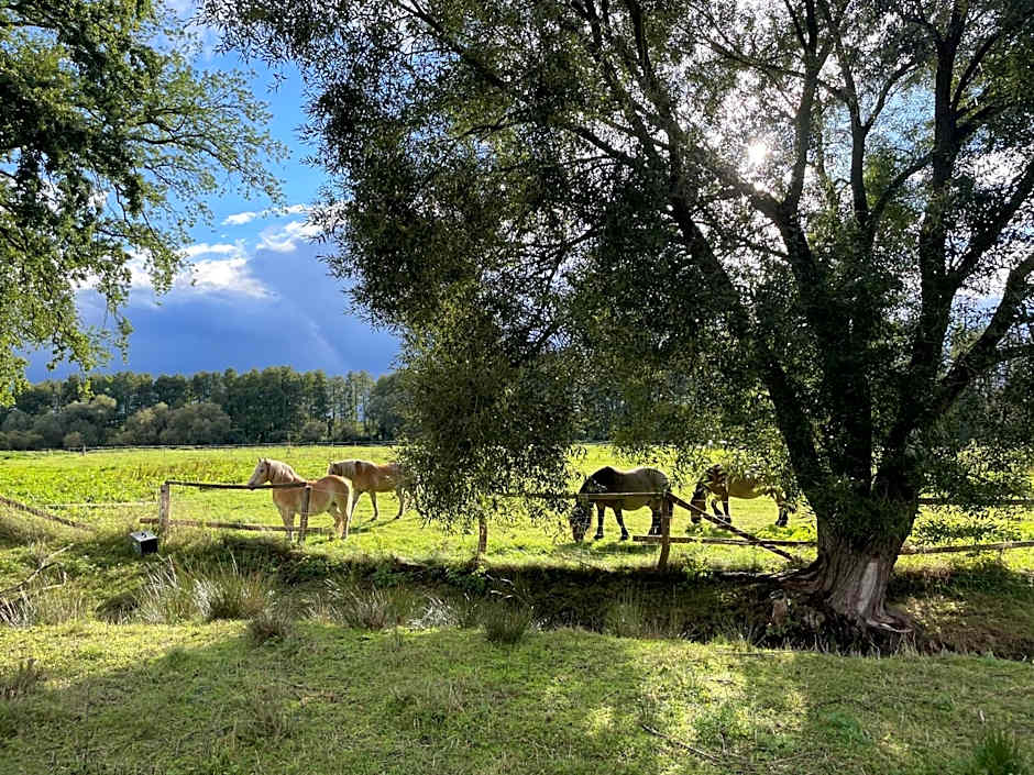Eichenhof Hotel Garni