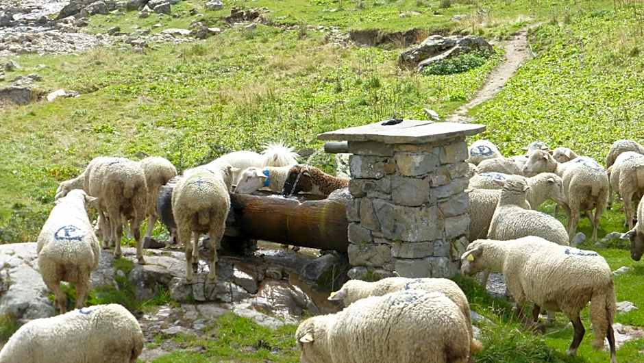 Résidence Les Ecrins