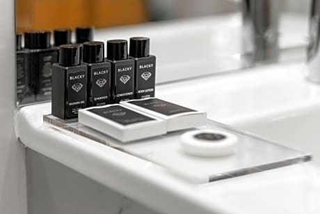 King Executive with Terrace