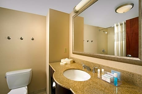  2 QUEENS MOBILITY ACCESS W/TUB NONSMOKING - MICROWV/FRIDGE/HDTV/WORK AREA - FREE WI-FI/HOT BREAKFAST INCLUDED -