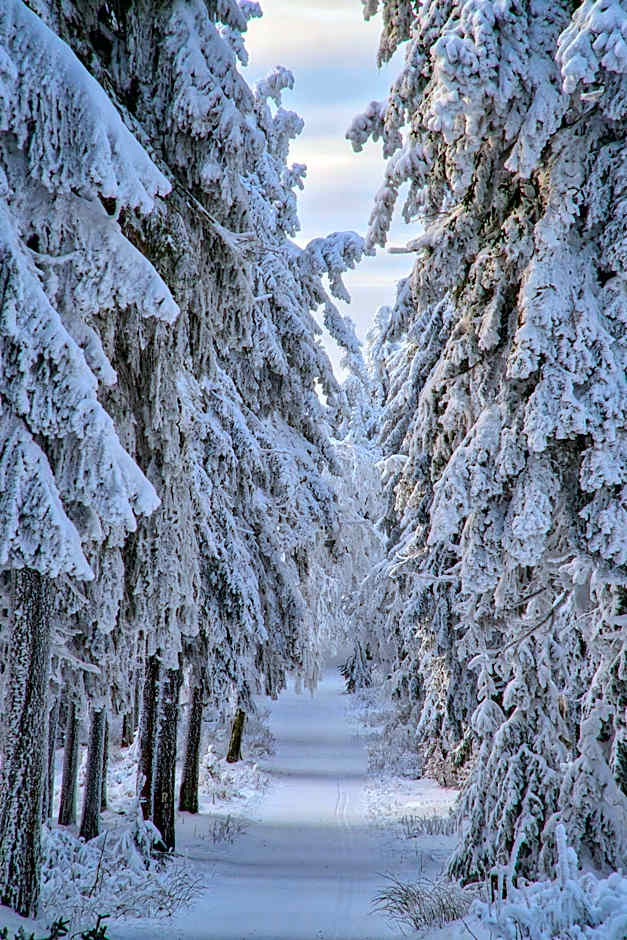 Pension Pfefferstübchen