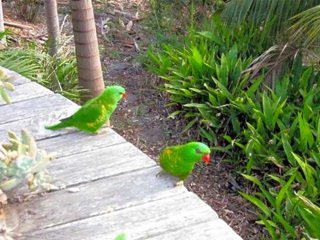 Sacred Mountain Retreat