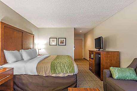 1 Queen Bed Business Room Suite Nonsmoking