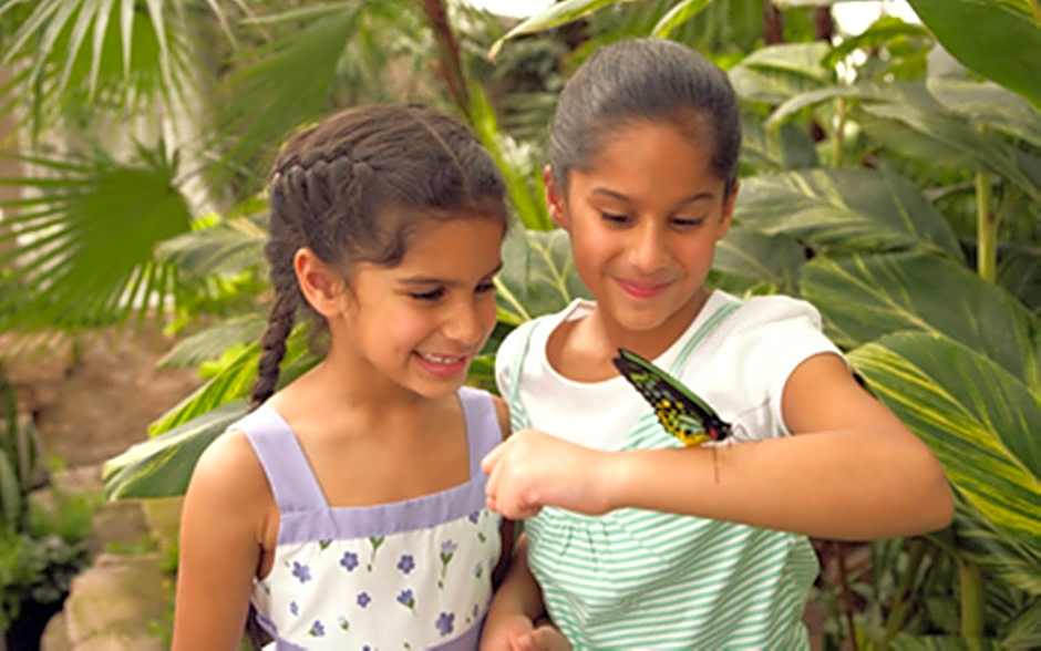 Holiday Inn Niagara Falls-By the Falls By IHG