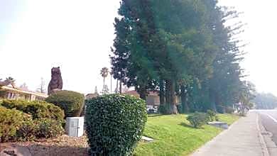 Best Western Sonoma Winegrowers Inn
