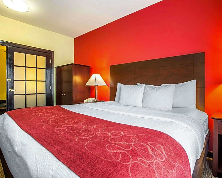 Comfort Suites Rock Hill Manchester Meadows Area