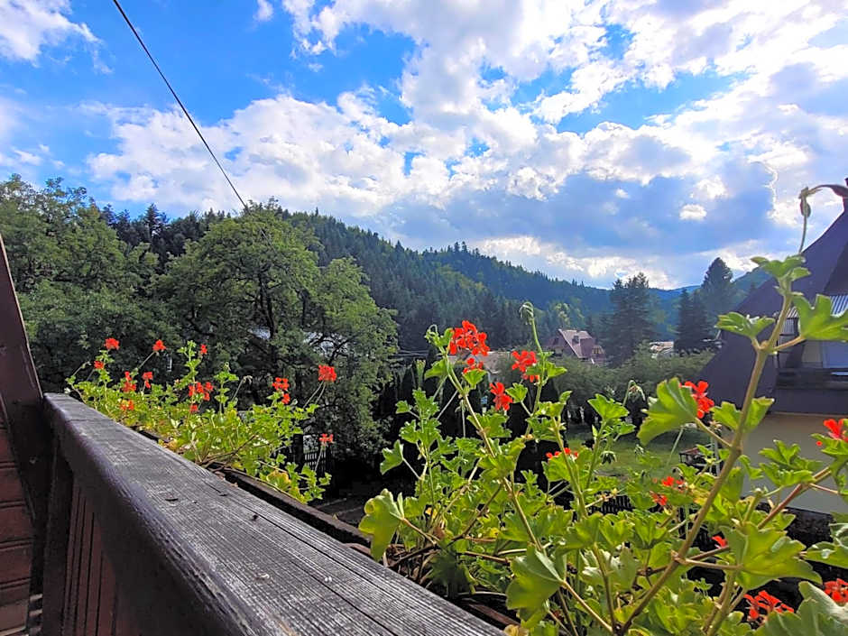 Rezydencja Leśny Dwór