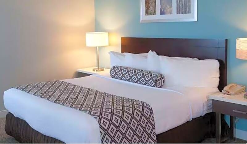 Photo 1 of 1 of 1 Bedroom 1 King Bed with Sofabed Suite