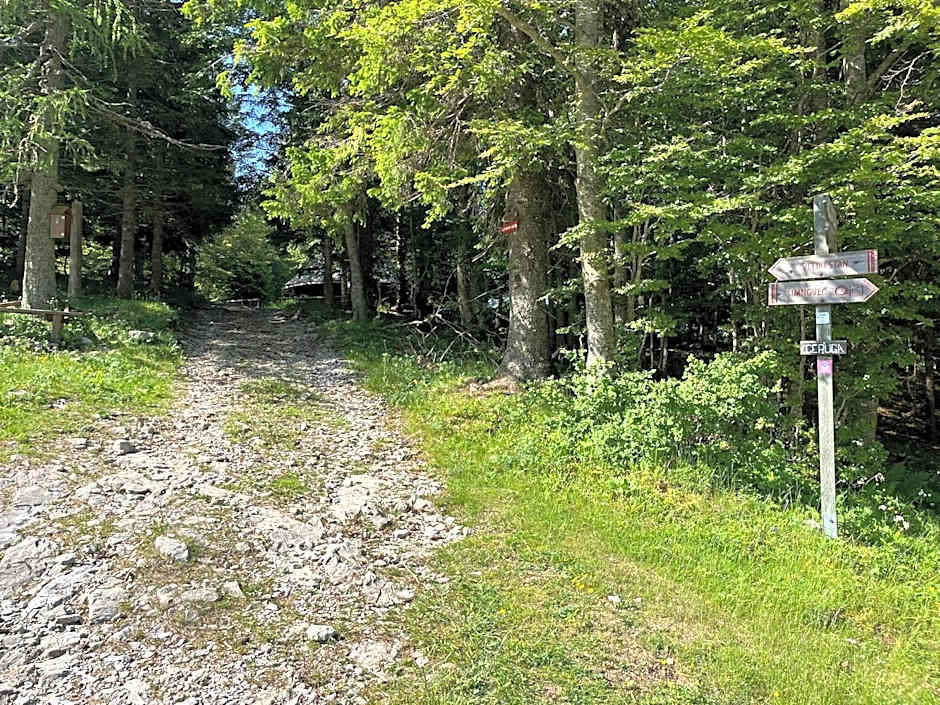 Chalet Kanja Velika Planina