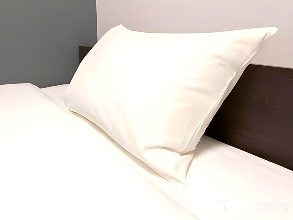 Royal INN Kakegawa (Station Hotel2)