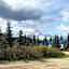 Denali Park Hotel