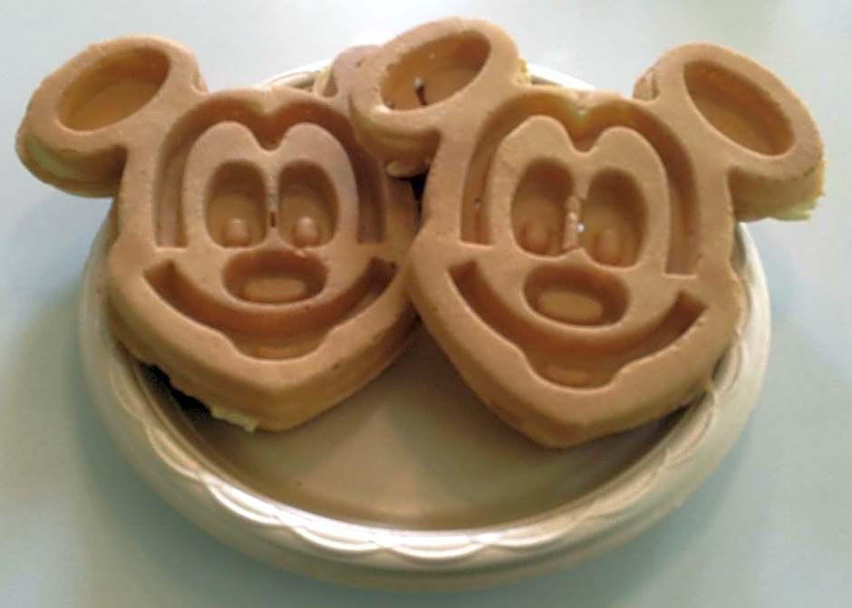 Hampton Inn By Hilton Orlando/Lake Buena Vista