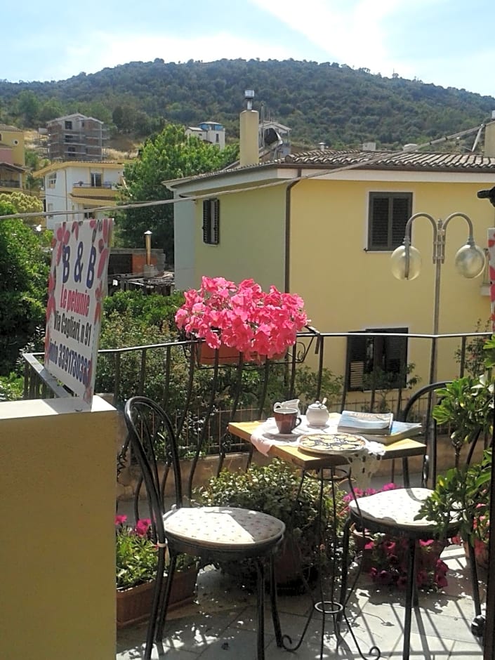 Bed and Breakfast Le petunie