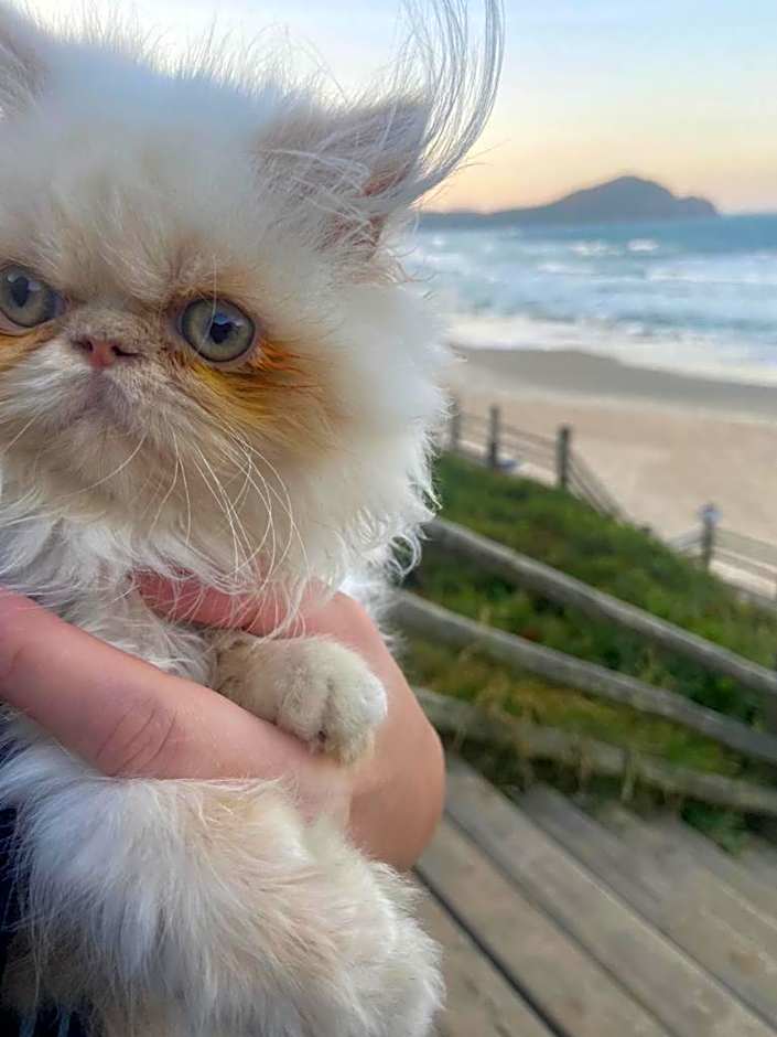 Pousada Refúgio do Rosa