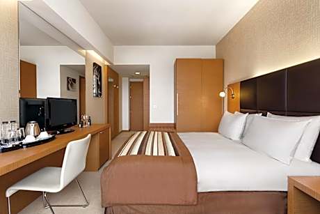 Business 1 Queen Bed Non-Smoking Room
