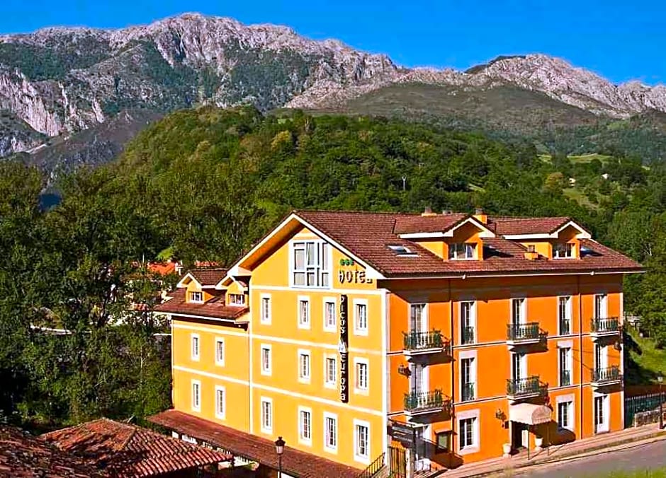 Hotel Picos de Europa