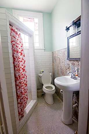 Bed in 5 bed mixed dormitory room with private bathroom