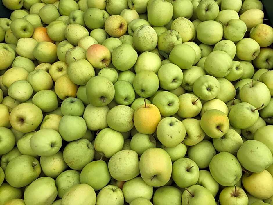 Tannerhof Bed & Breakfast