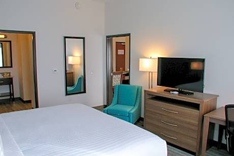 1 King Suite Sofa Bed