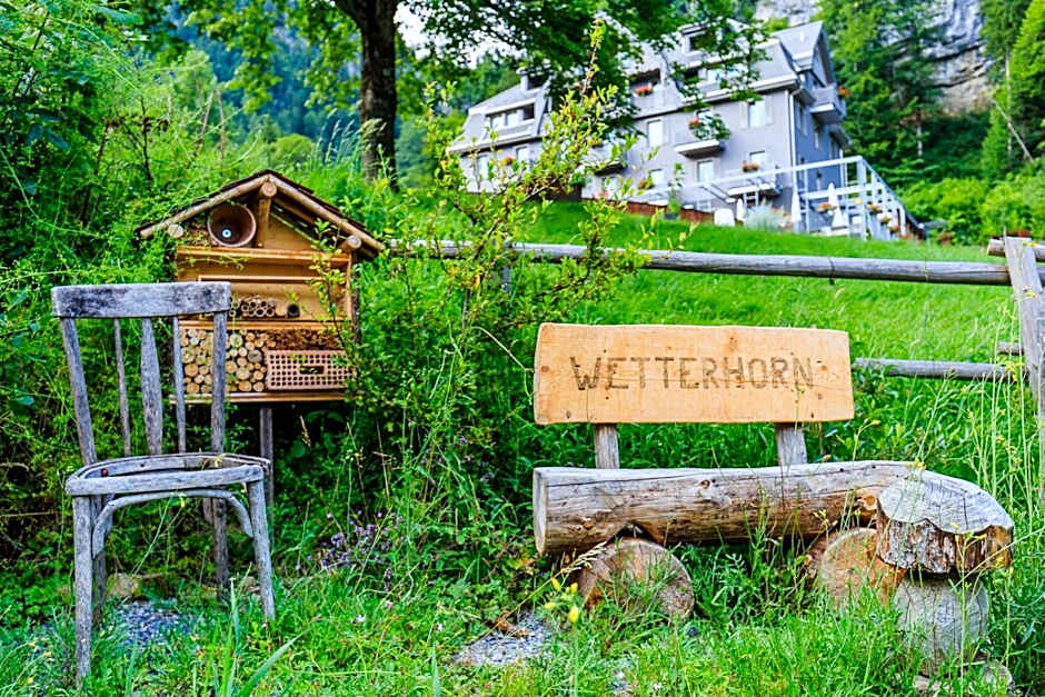 Apart Hotel Wetterhorn