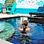 The Chillhouse Canggu by BVR Holiday Rentals