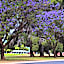 Renmark Country Club