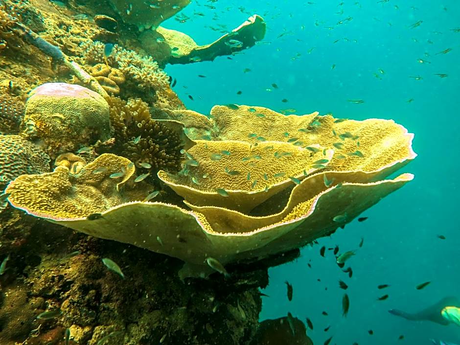 HAKS Boutique B&B with Pool & Farm-to-Table Dining