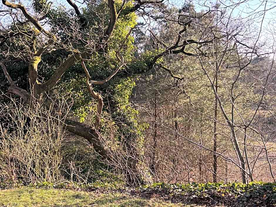 Vakantiehuis de Witte Bergen