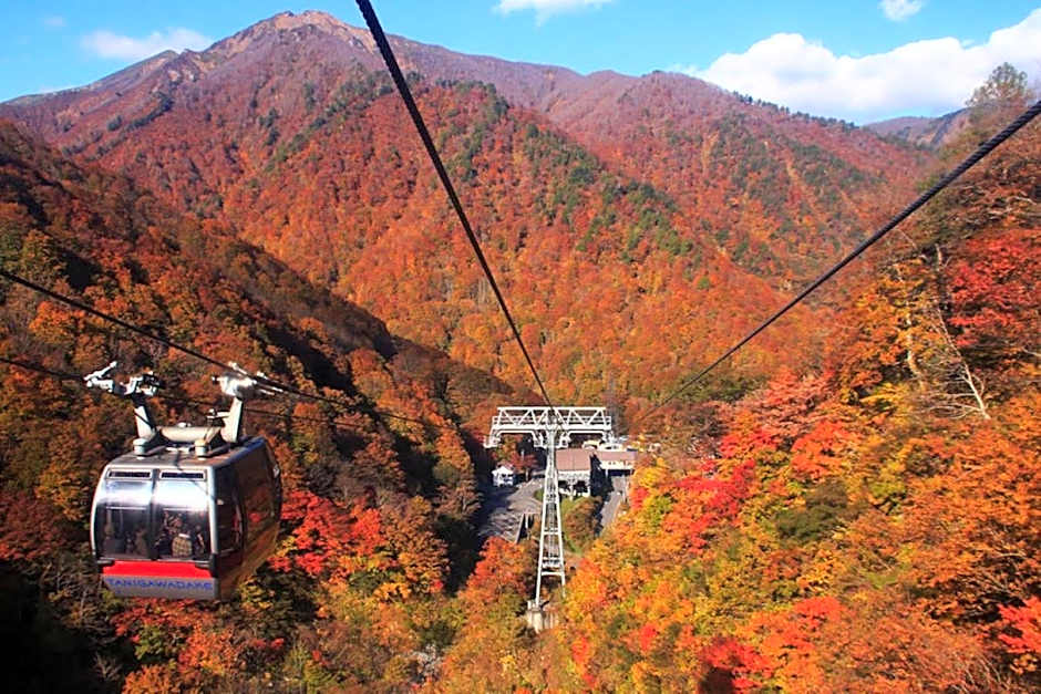 Mominoki Lodgeモミの木ロッジ