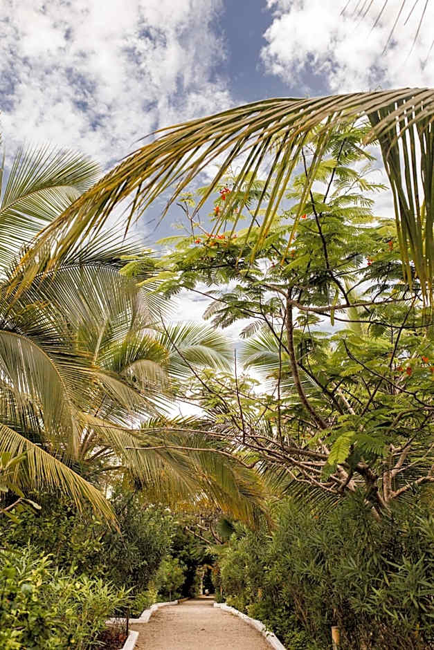 White Paradise Zanzibar